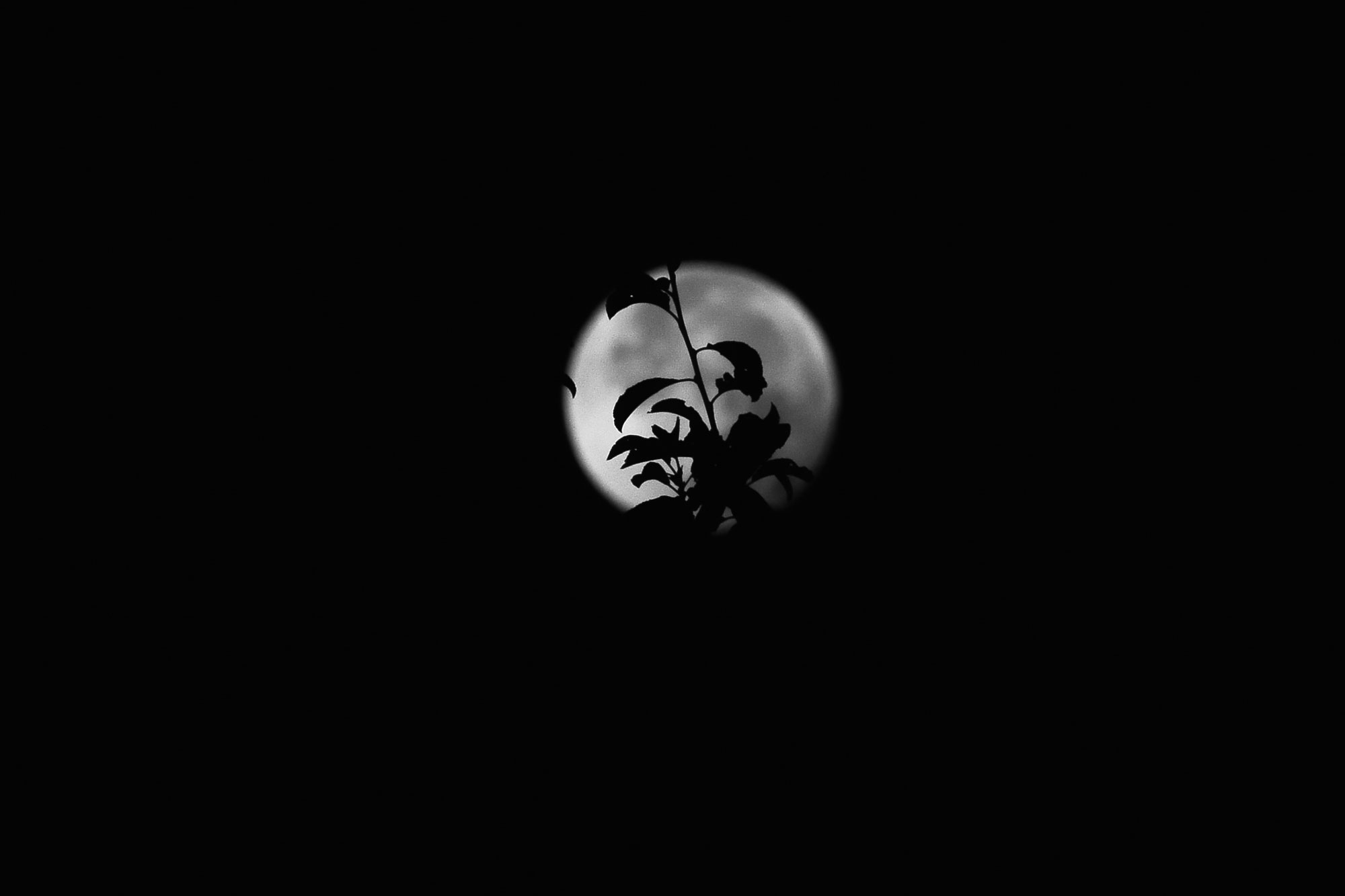 Zeit 06:38