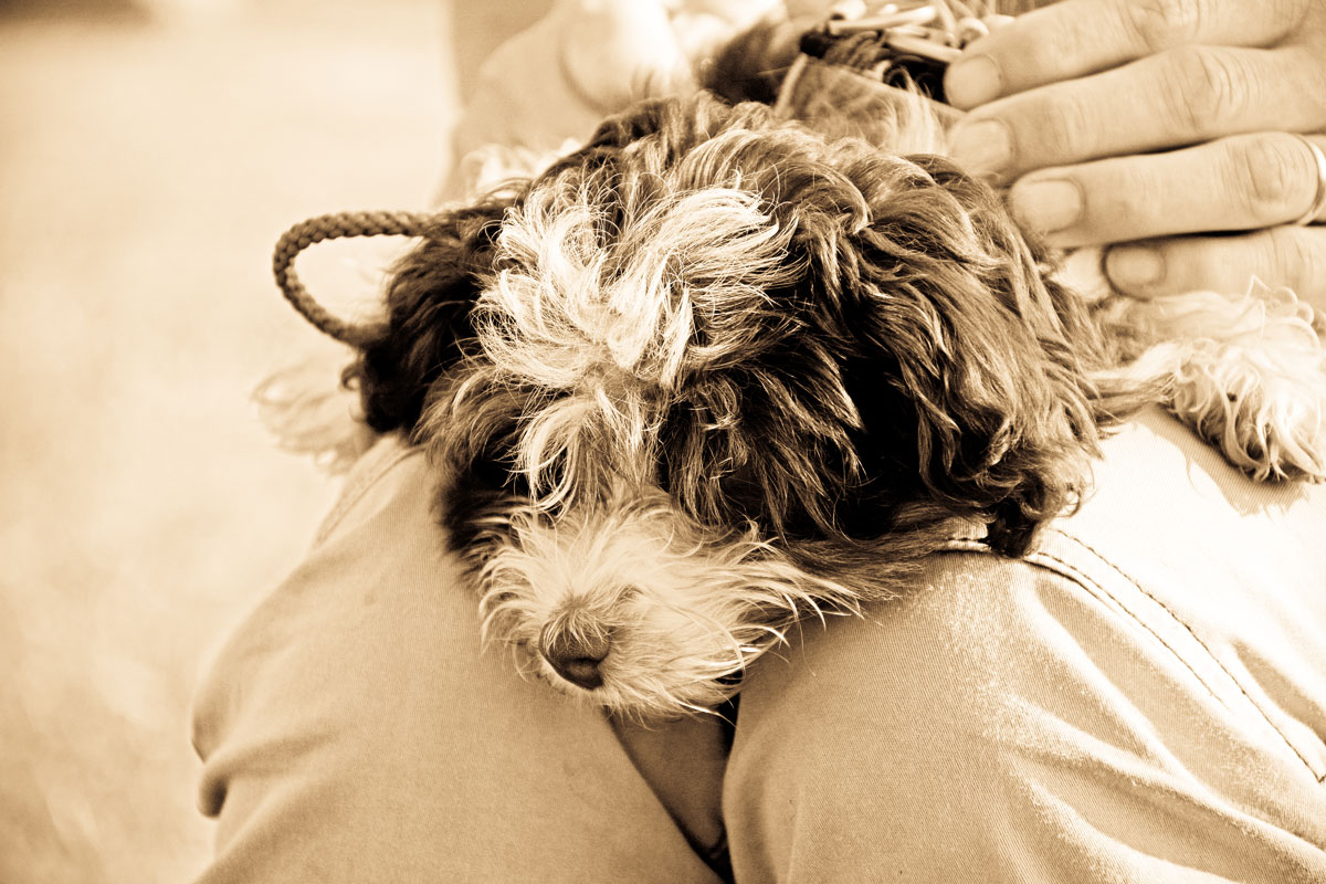 blog