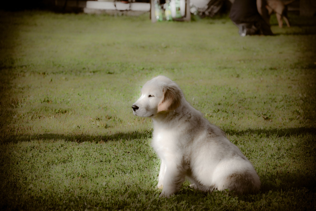 blog